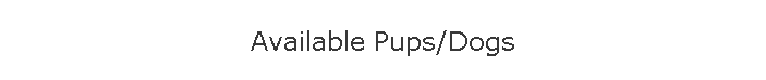 Available Pups/Dogs